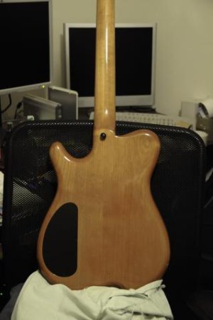 Carvin H2 Back.jpg