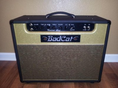 badcat custom shop.jpg