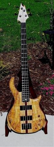 Warrior Standard Plus NT bass.jpg