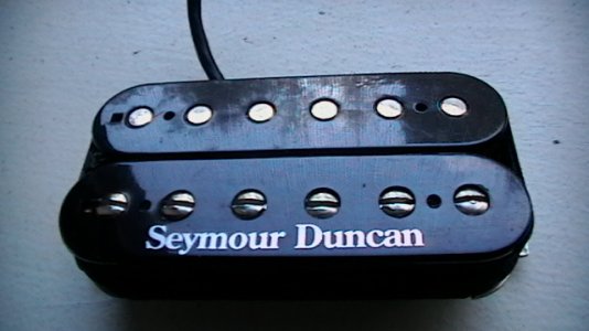 duncan hybrid 001.JPG
