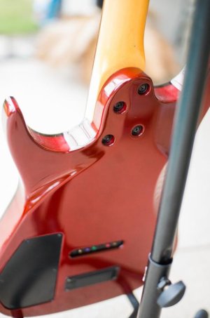 IMGP3693 as Smart Object-1.jpg