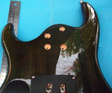 alder7.jpg