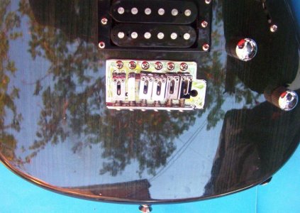 alder8.jpg