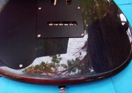 alder9.jpg
