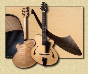 2315__580xfloat=none_Eastman_PG2_Pagelli_Jazz_Guitar.jpg