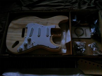 naked guitar.jpg naked guitar.jpg