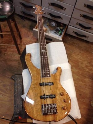 Bass.jpg