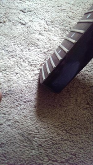 1395094404517.jpg 1395094404517.jpg