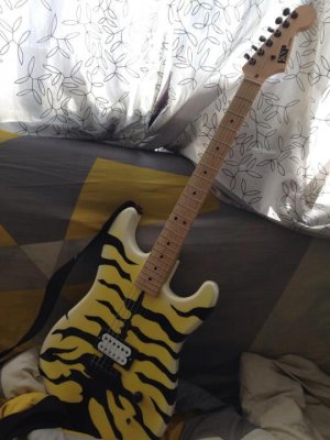 tiger.jpg tiger.jpg