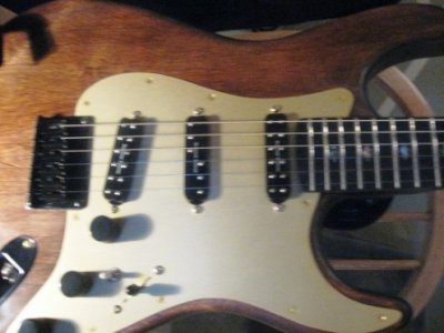 darkhorse-albums-jan2014-everything-rig-picture10856-img-1033.jpg