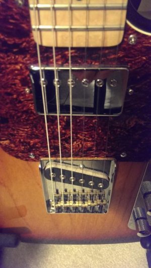 BB PUPs.jpg BB PUPs.jpg