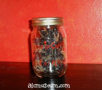 smaller_jar_of_flies_2.jpg