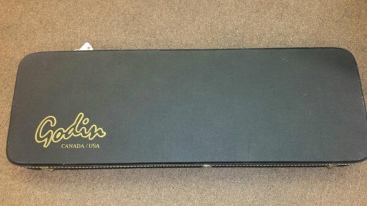 Godin HS case.jpg