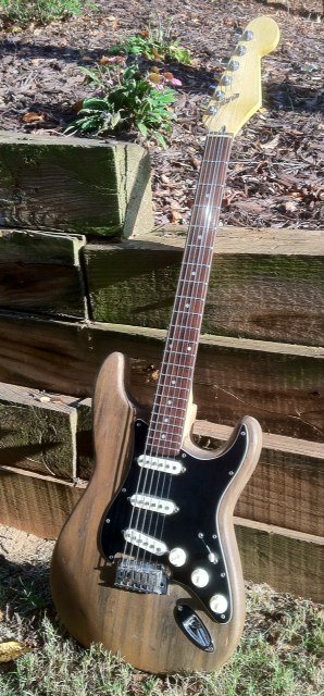 Swampcaster1.JPG