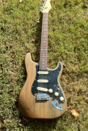 Swampcaster2.JPG