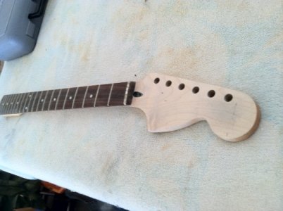 Swampcaster7.JPG