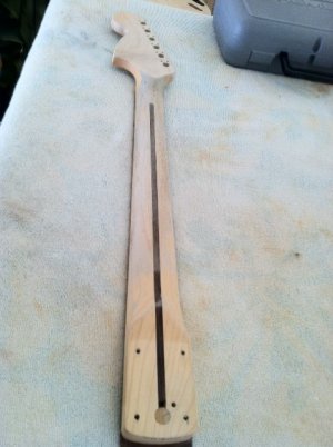 Swampcaster8.JPG