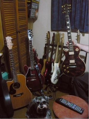 Guitars 1.jpg