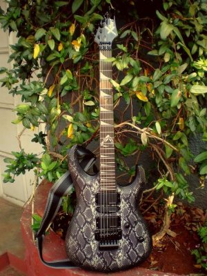 Cort_X6_Vpr_Snakeskin_II.jpg