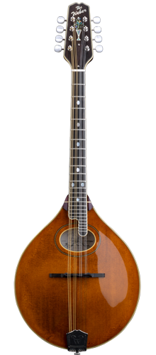 A_VINTAGE_Mandocello_f.png