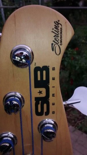 MM Headstock.jpg