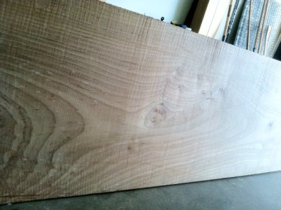 Maple1.JPG Maple1.JPG