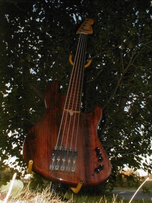 protobass 022.jpg