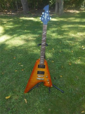 Washburn V.jpg