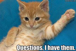 questions-cat.jpg