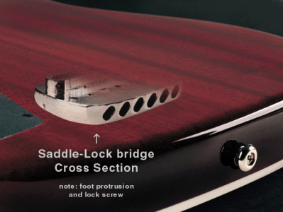 SL-bridge-Xsection (1).gif