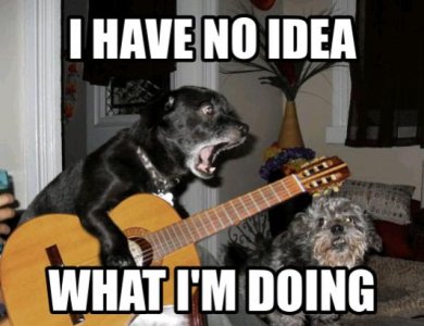 dog-guitar.jpg
