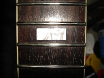 DSC02118.jpg DSC02118.jpg