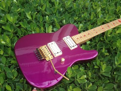 Purple tele.jpg