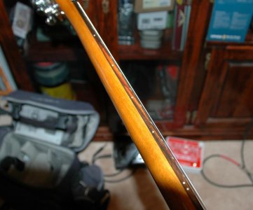 DSC_2952a.jpg