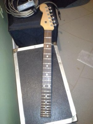 hosono neck for my next guitar (1).jpg