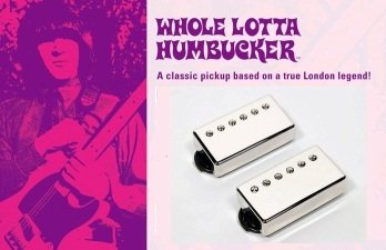 Whole Lotta.jpg