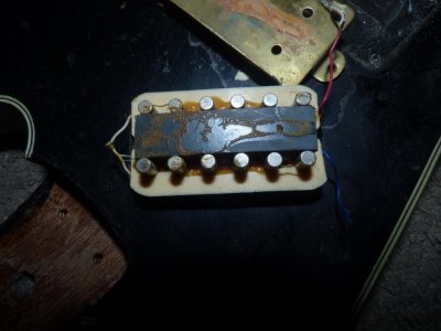 P1010291.jpg P1010291.jpg