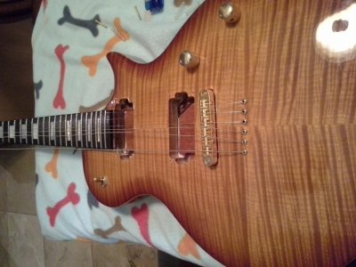 Carvin.jpg