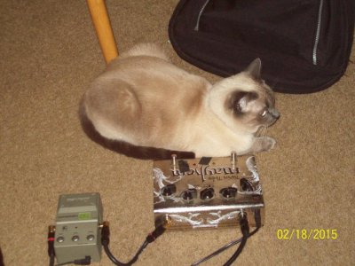 100_5089.jpg
