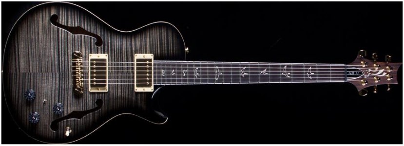 PRS My3.JPG