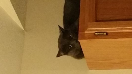 20141128_190412.jpg 20141128_190412.jpg