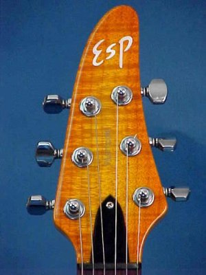 30U-8081_headstock-front.jpg