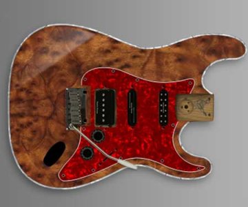 WARMOTH.jpg