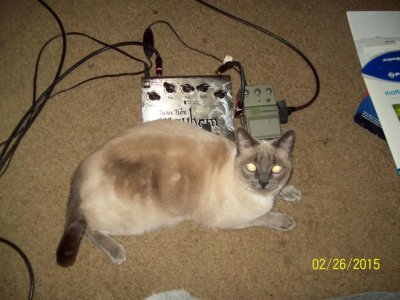 100_5108.jpg