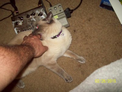 100_5110.jpg