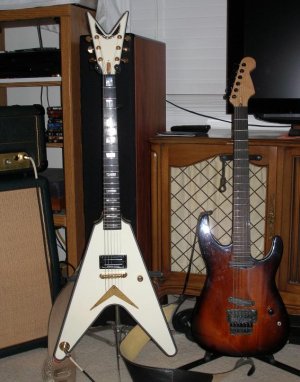 v & W.jpg