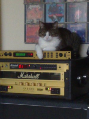 21052010207.jpg