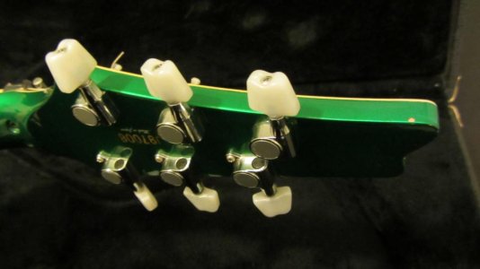 10 chip headstock.jpg