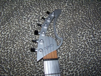 Andreas Shark 012.JPG