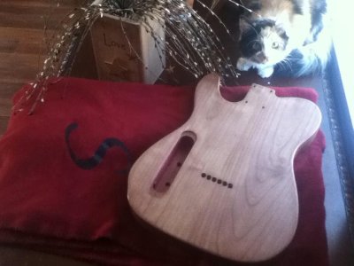 sippsie and Cordovan.jpg